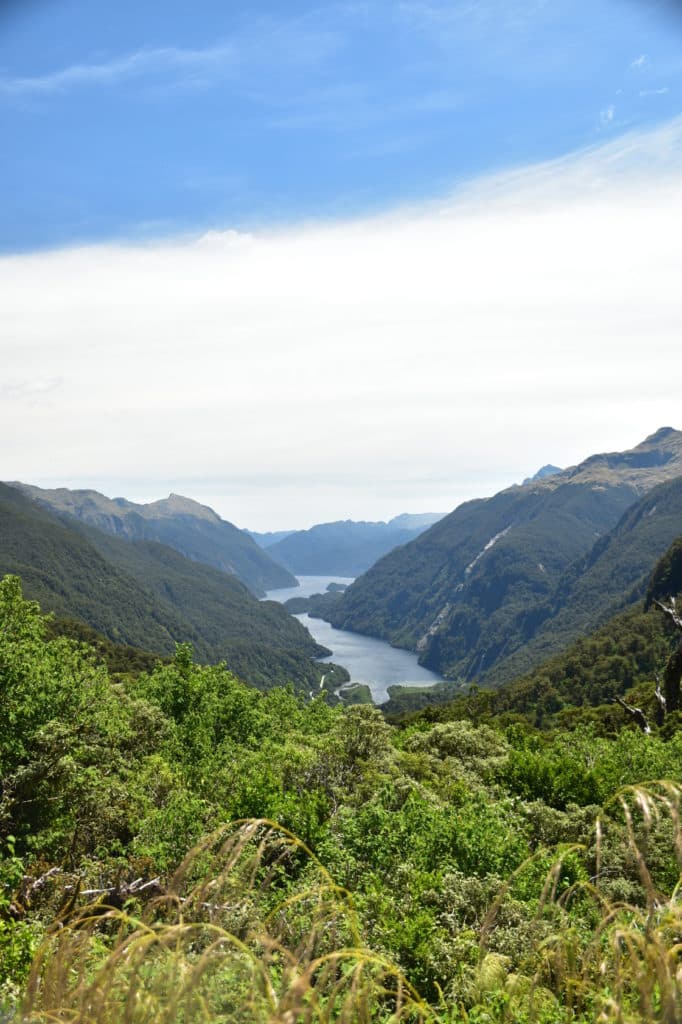 Point de vue sur Doubtful Sound